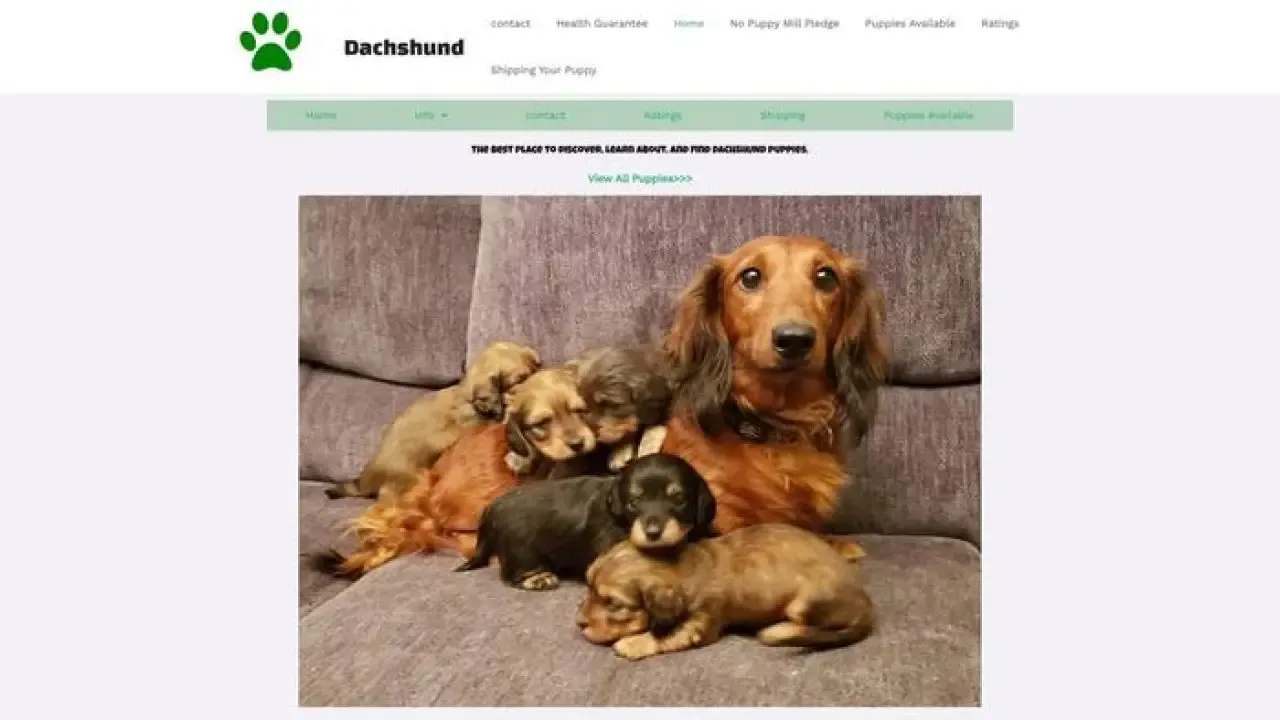 Lunadachshundfamily