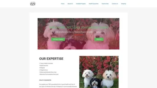 Screenshot of