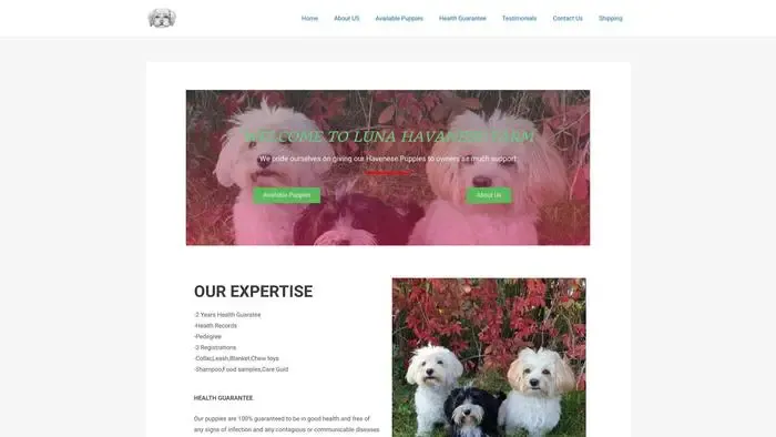 Screenshot of