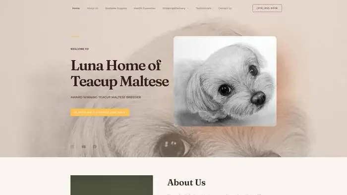Screenshot of