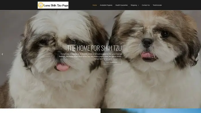 Screenshot of