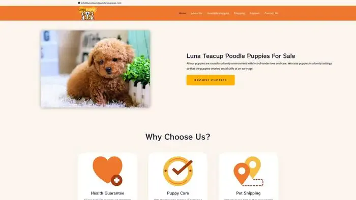 Screenshot of