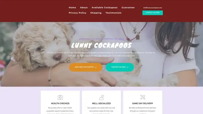 Screenshot of