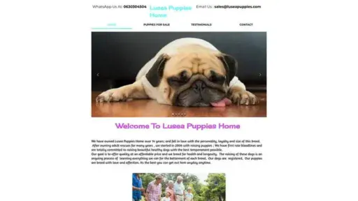 Screenshot of