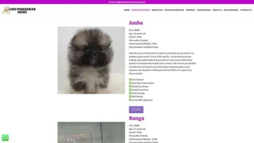 Screenshot of||