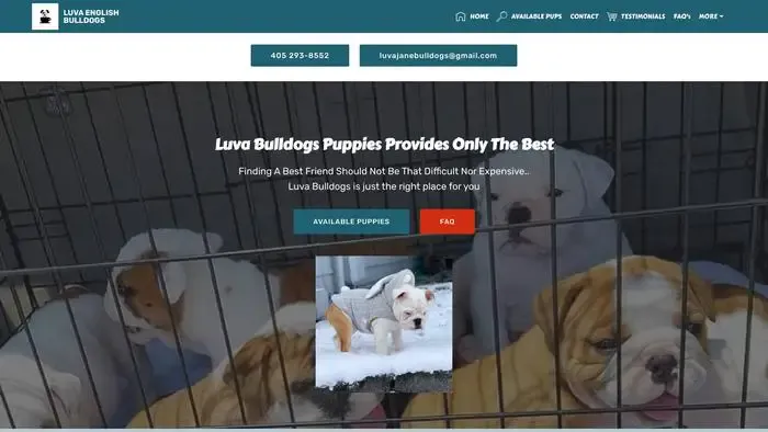 Screenshot of