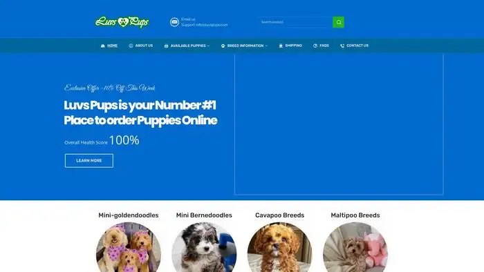 Screenshot of