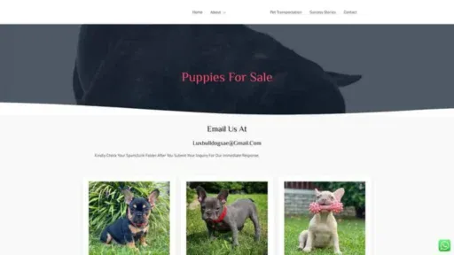 Screenshot of||