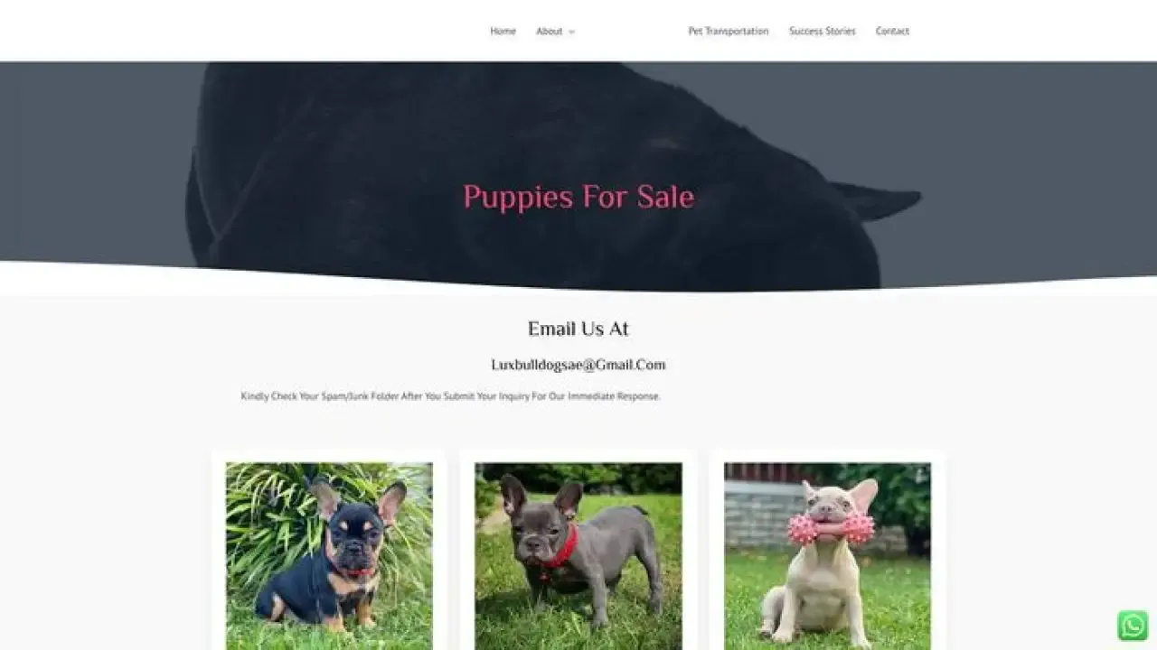 Luxbulldogs-ae