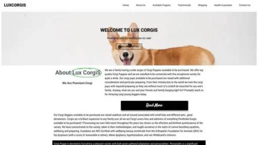 Screenshot of