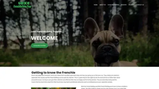 Screenshot of