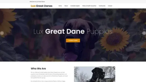 Screenshot of