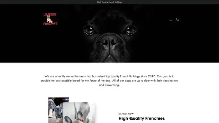 Screenshot of