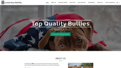Screenshot of