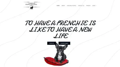 Screenshot of