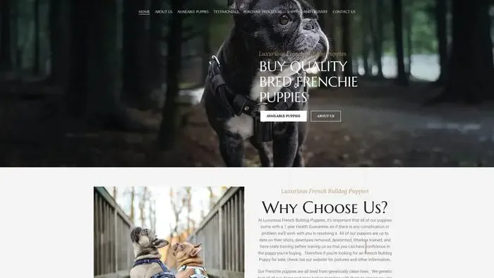 Screenshot of