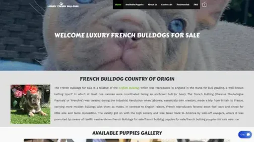 Screenshot of