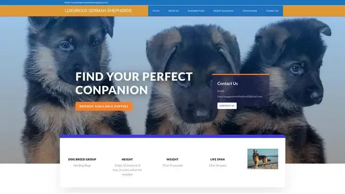 Screenshot of