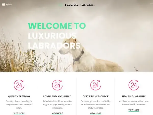 Screenshot of