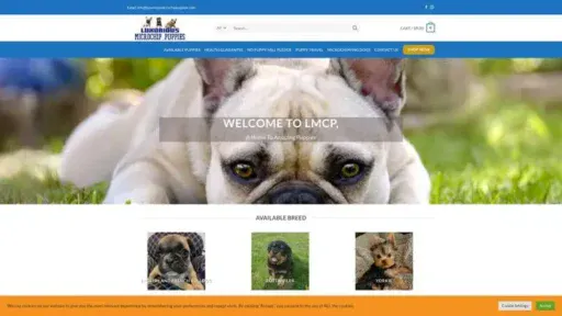 Screenshot of