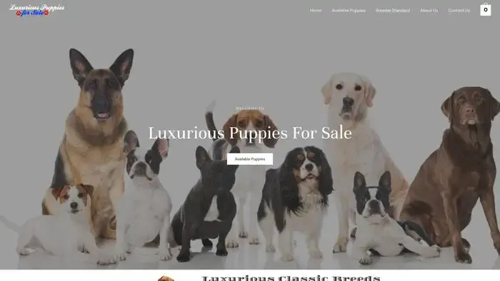 Screenshot of