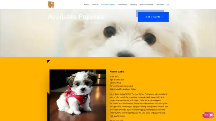 Screenshot of
