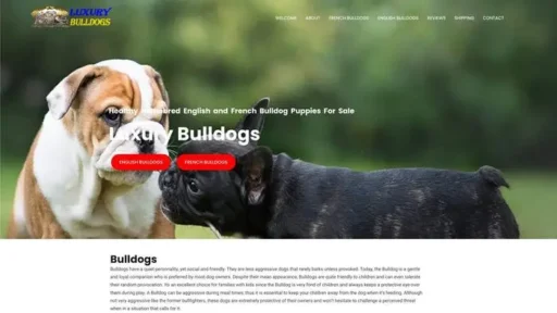 Screenshot of