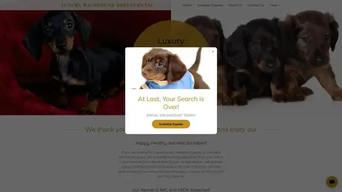 Screenshot of