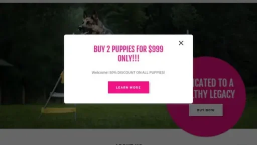 Screenshot of