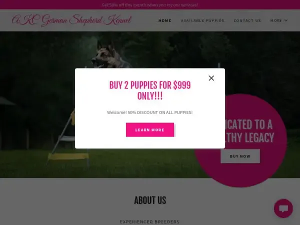 Screenshot of