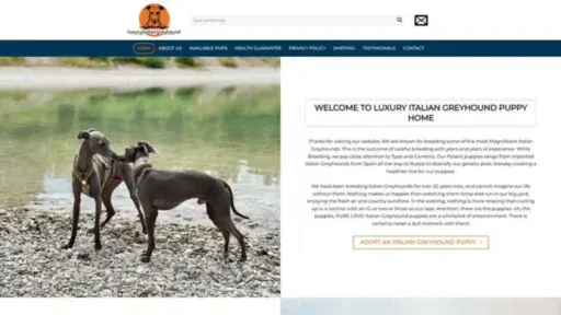 Screenshot of||