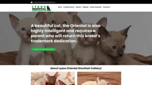 Screenshot of|