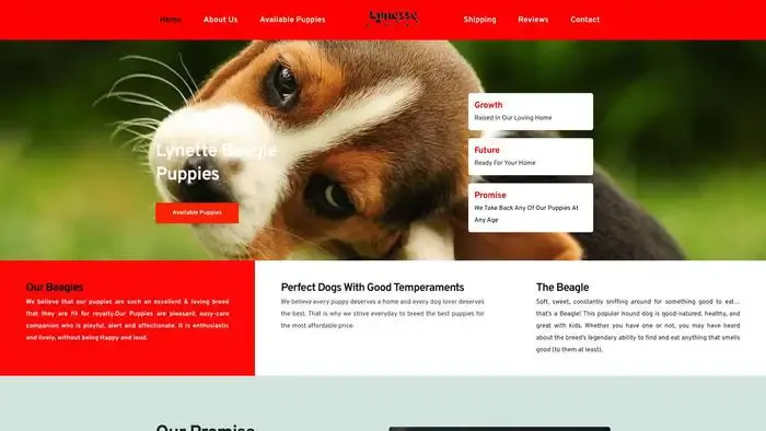 Screenshot of