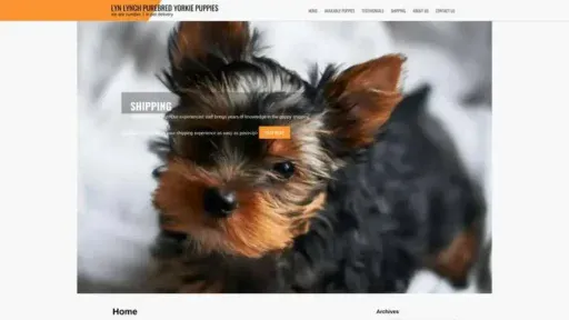 Screenshot of