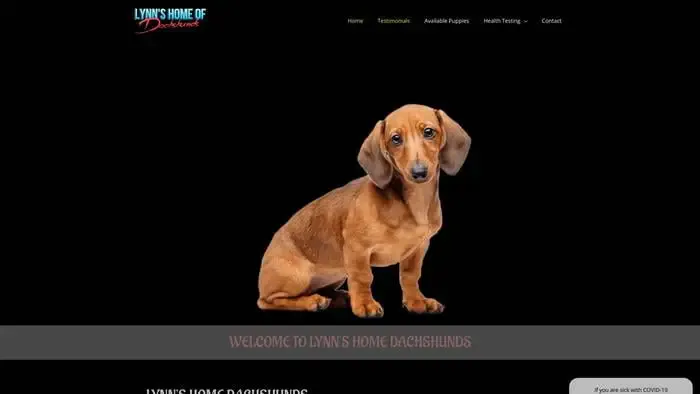 Screenshot of