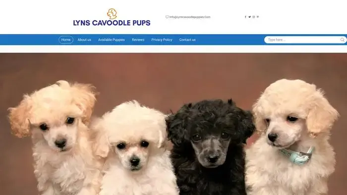 Screenshot of