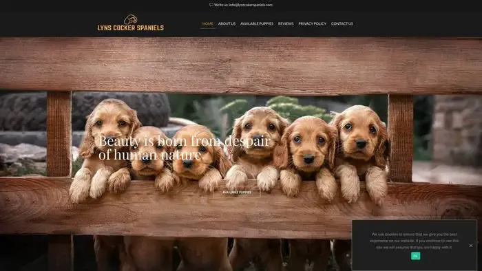 Screenshot of