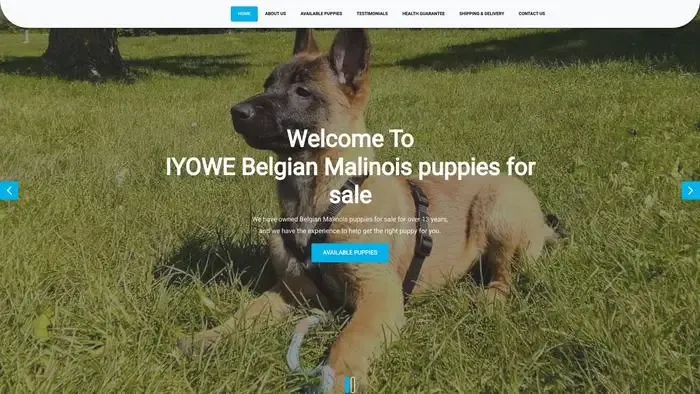 Screenshot of