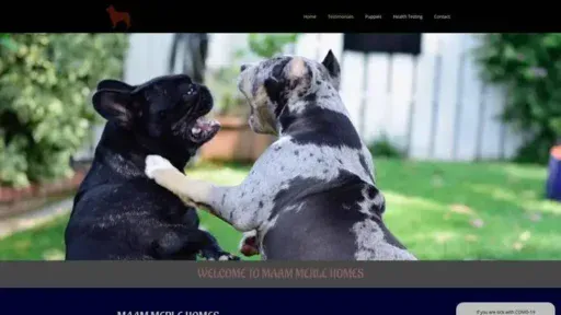 Screenshot of