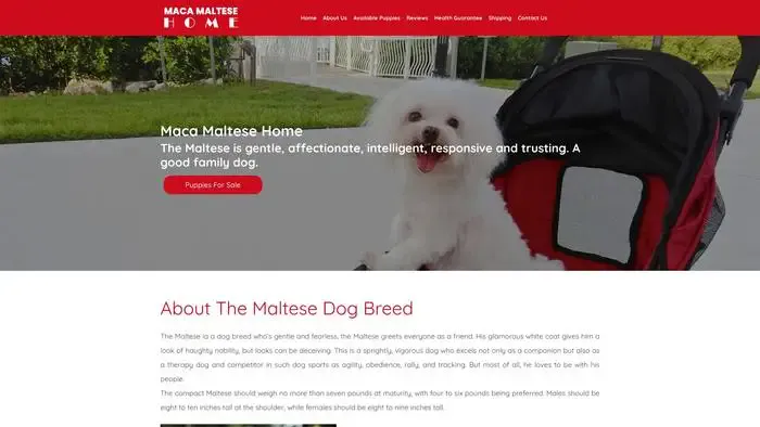 Screenshot of
