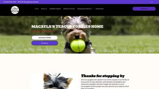 Screenshot of