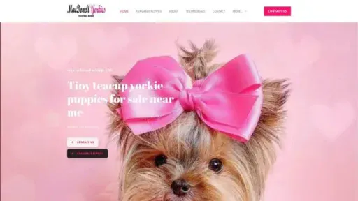 Screenshot of