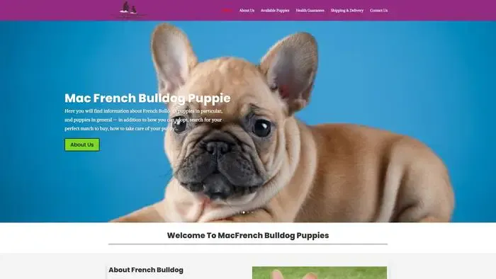 Screenshot of