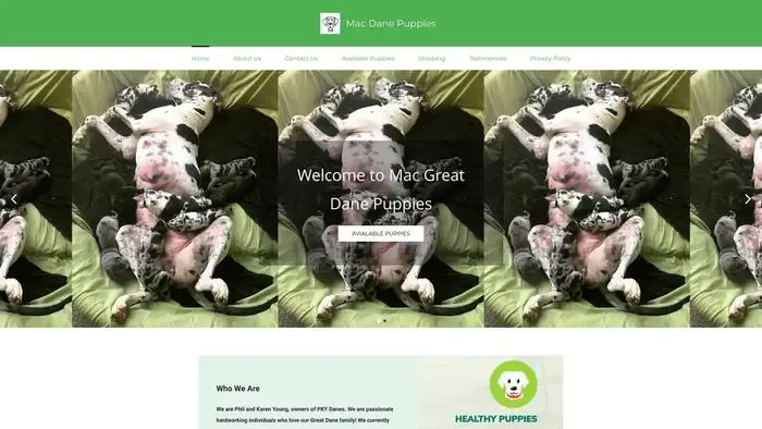 Screenshot of