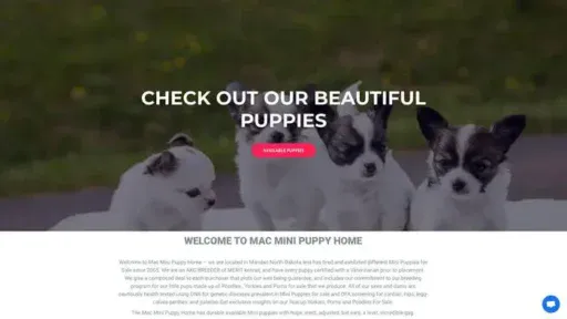 Screenshot of