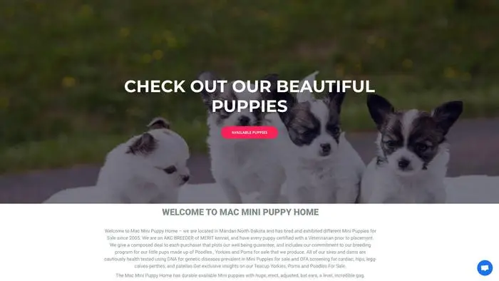 Screenshot of