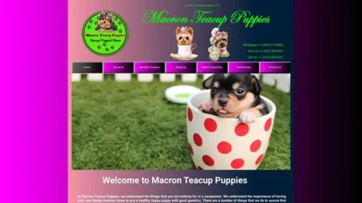 Screenshot of