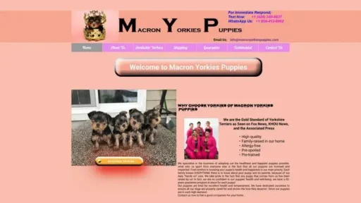 Screenshot of