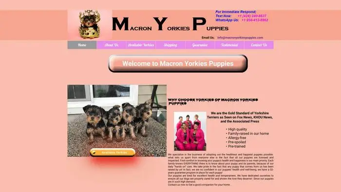 Screenshot of