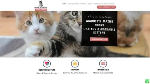 Screenshot of